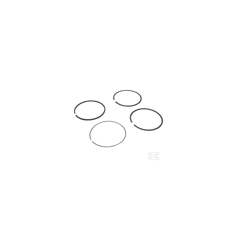 Briggs & Stratton 694004 Jeu de bagues standard
