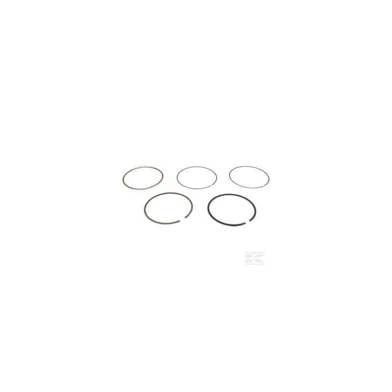Briggs & Stratton 843806 Kit de segments