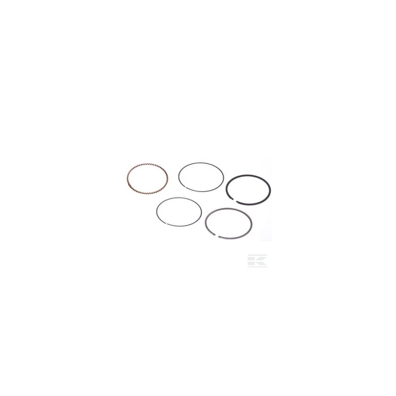 Briggs & Stratton 843953 Kit de bagues