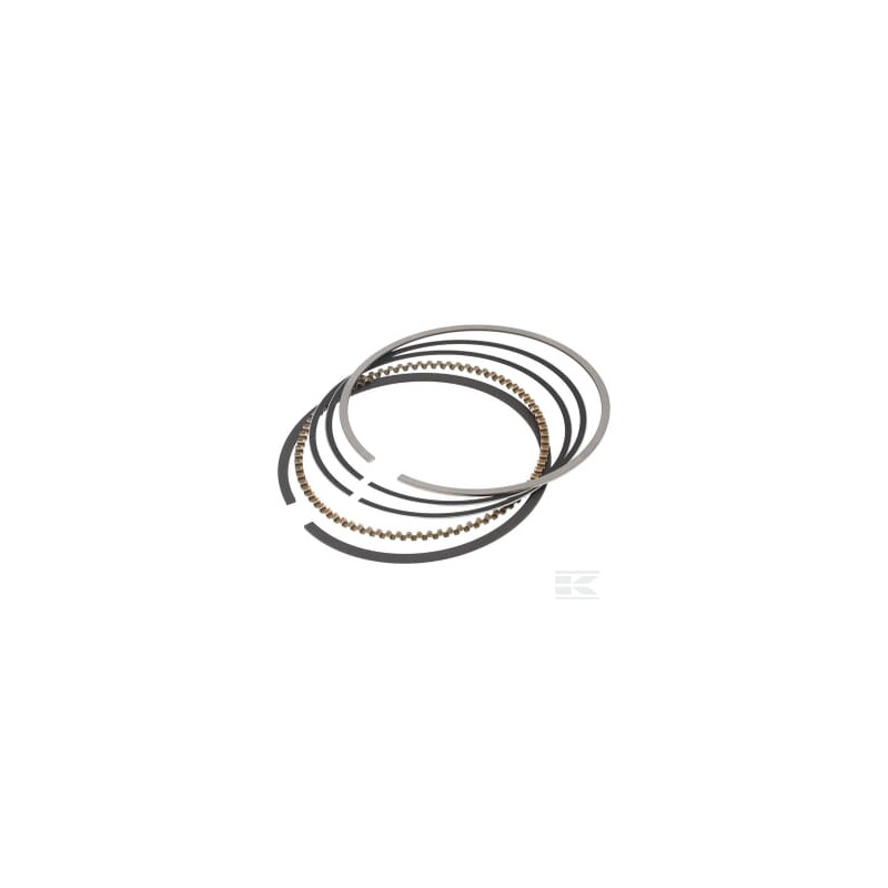 Briggs & Stratton 592957 Jeu de bagues