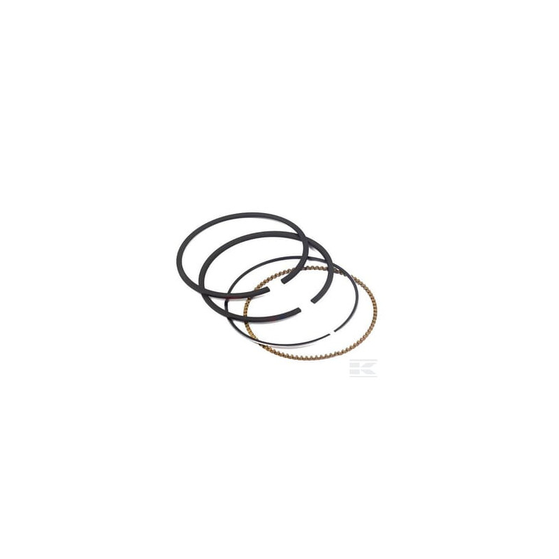 Briggs & Stratton 791969 Kit de segments std