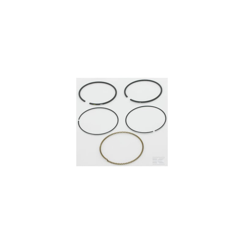 Briggs & Stratton 793517 Kit de segments std