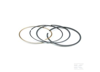 Briggs & Stratton 795431 Kit de segments std