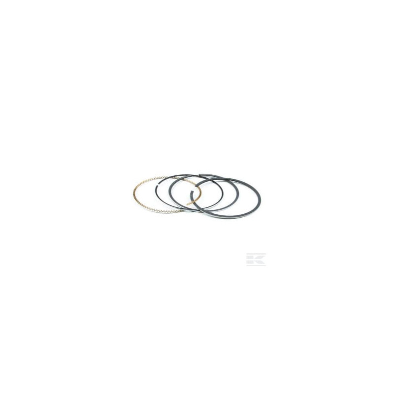 Briggs & Stratton 795431 Kit de segments std