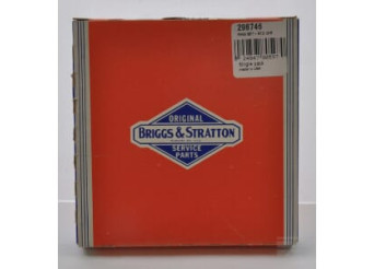 Briggs & Stratton 298746 Kit de segments chrome