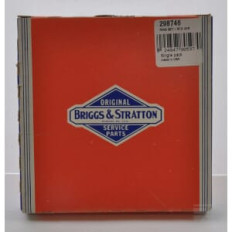 Briggs & Stratton 298746 Kit de segments chrome
