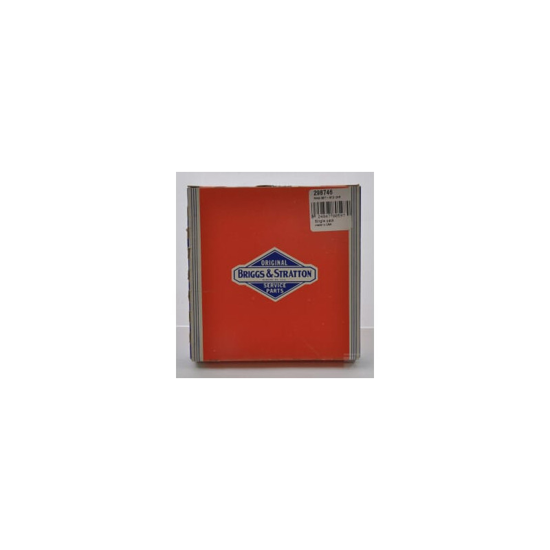 Briggs & Stratton 298746 Kit de segments chrome