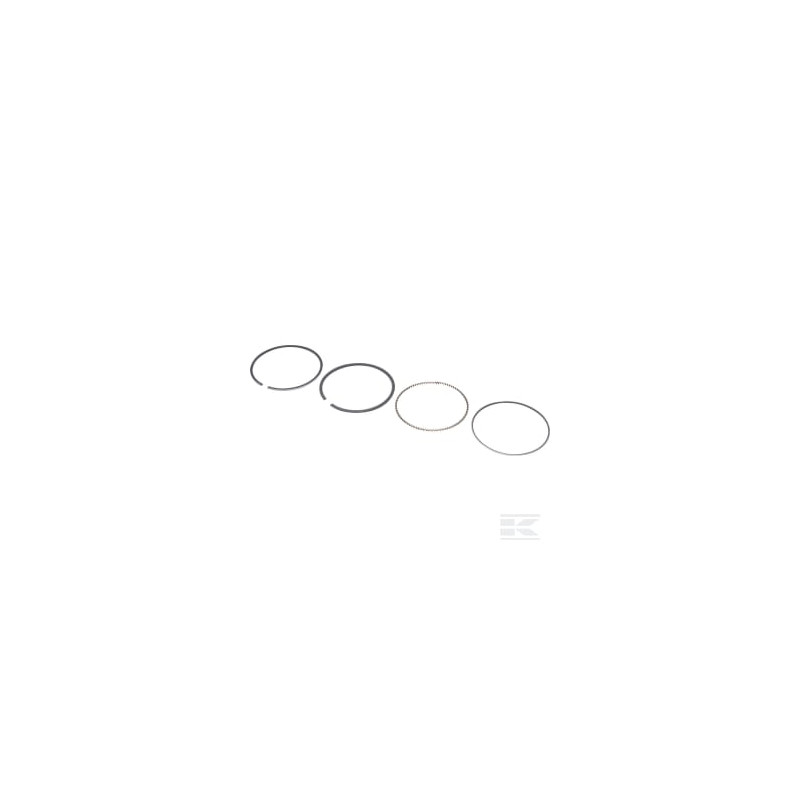 Briggs & Stratton 799539 Jeu de bagues-010