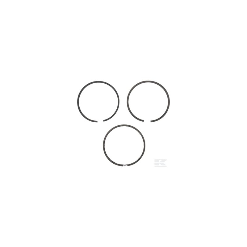 Briggs & Stratton 495851 Kit de segments .020