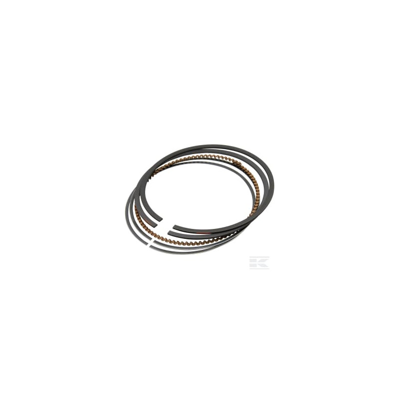 Briggs & Stratton 792073 Jeu de bagues-020