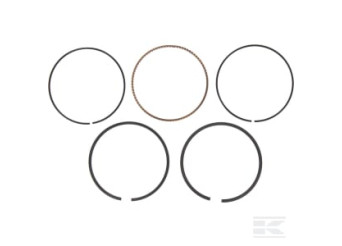 Briggs & Stratton 795432 Jeu segments -020