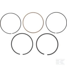 Briggs & Stratton 795432 Jeu segments -020