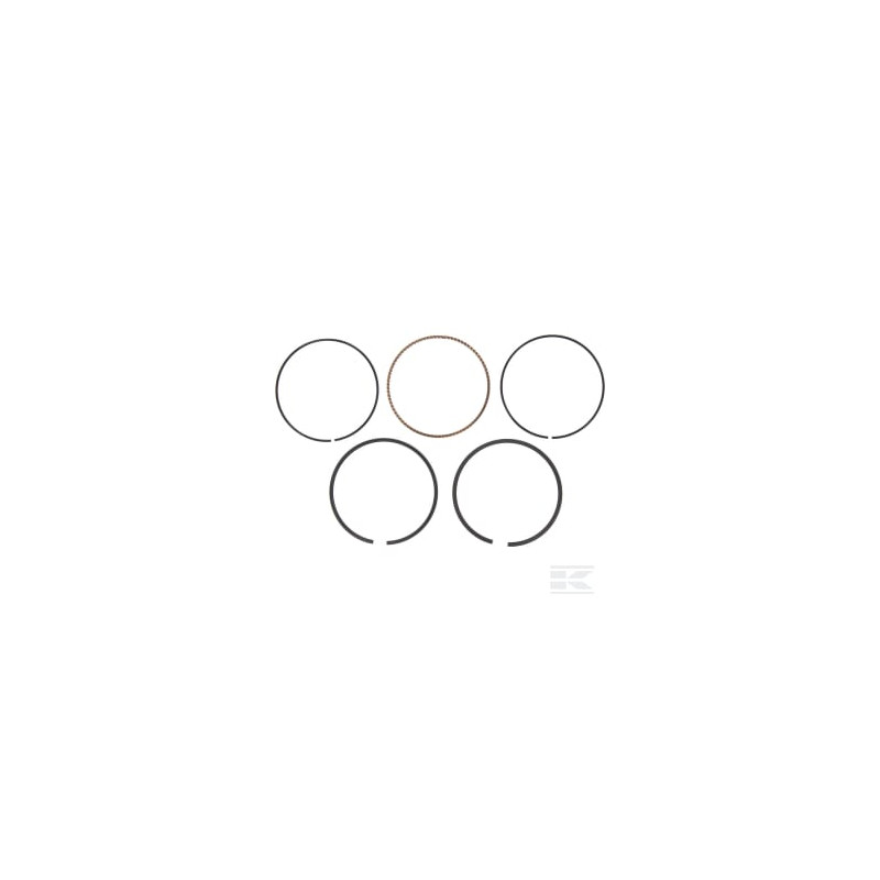 Briggs & Stratton 795432 Jeu segments -020