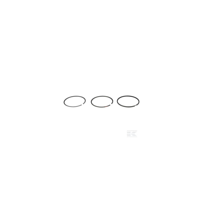 Briggs & Stratton 555664 Jeu de bagues