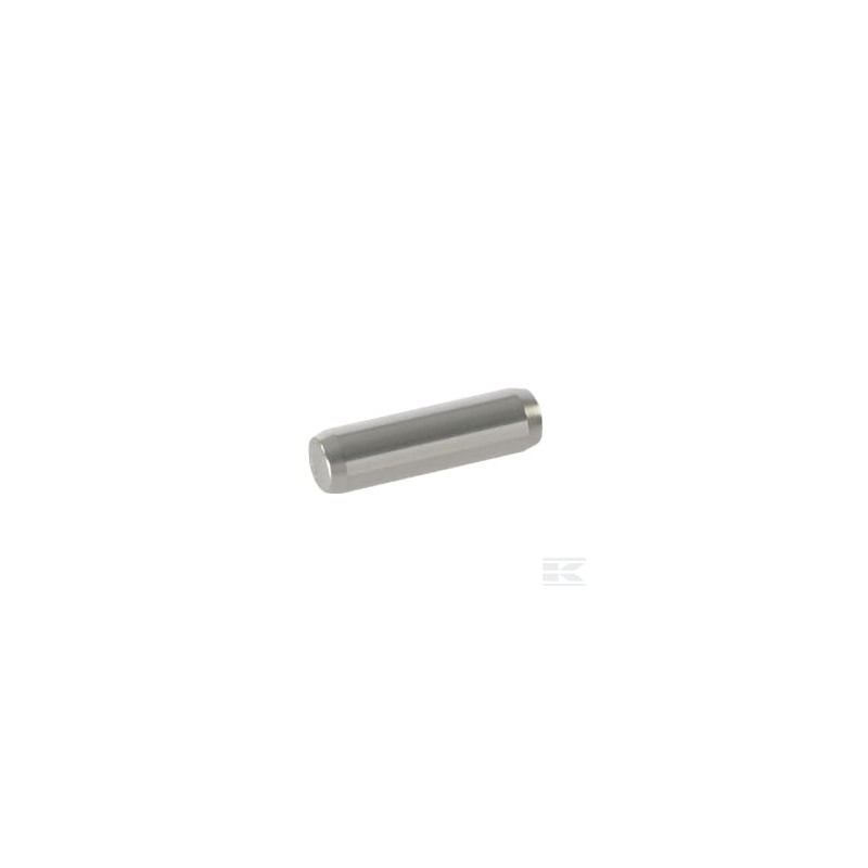 Briggs & Stratton 690959 Pasbus B&S