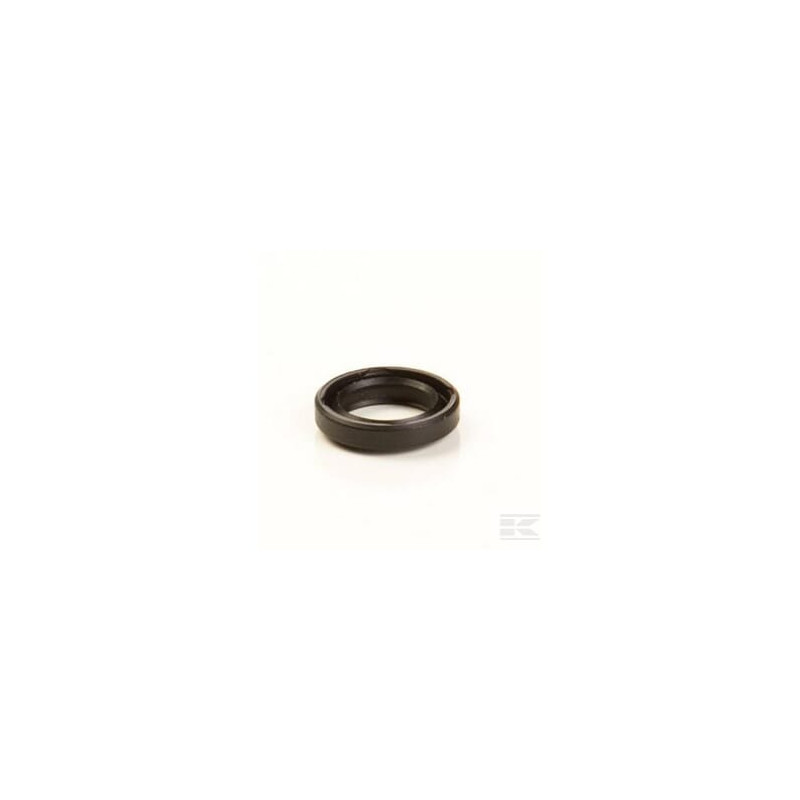 Briggs & Stratton 790574 Joint pour arbre de régulateur