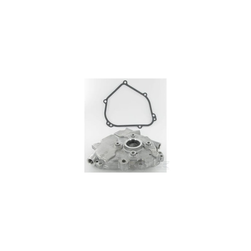 Briggs & Stratton 699804 Carter de vilebrequin