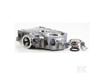 Briggs & Stratton 796307 Flasque