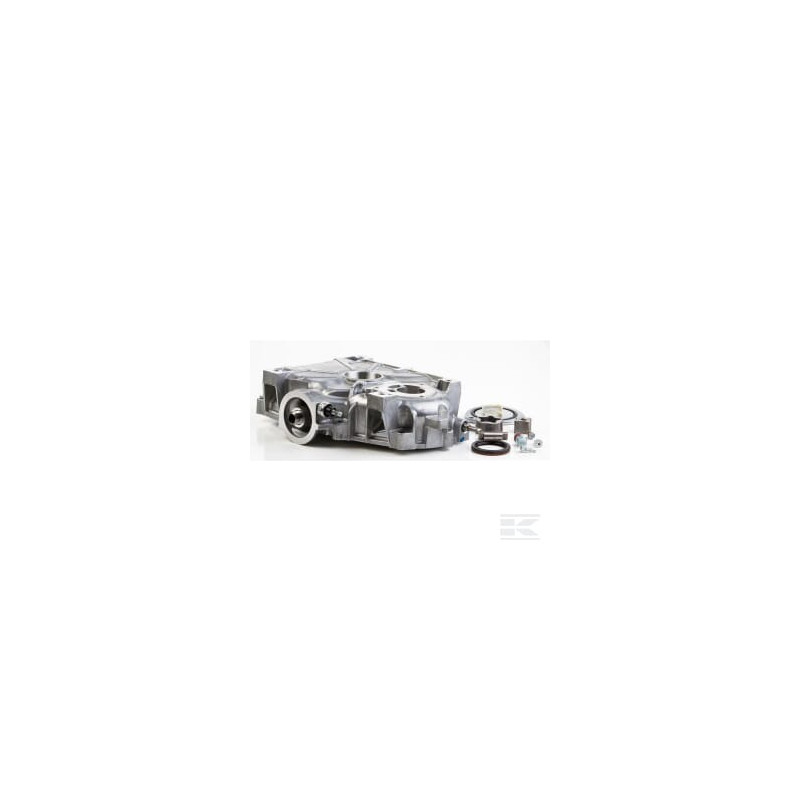 Briggs & Stratton 796307 Flasque
