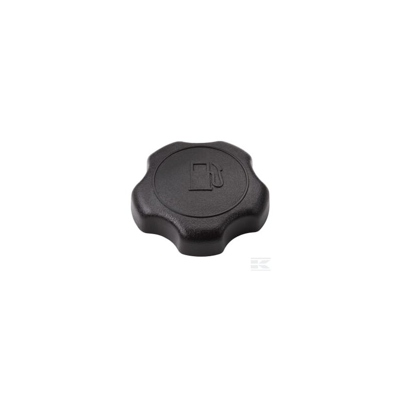 Briggs & Stratton 795027 Bouchon de réservoir Grand(e)
