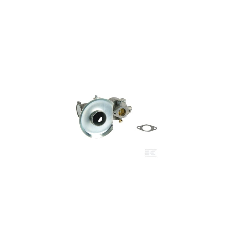 Briggs & Stratton 391065 Carburateur