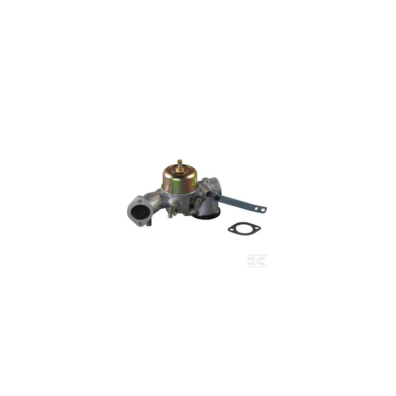Briggs & Stratton 491031 Carburateur