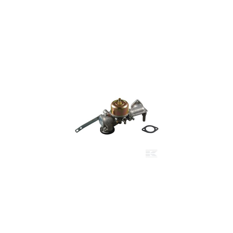 Briggs & Stratton 491590 Carburateur