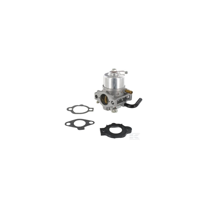 Briggs & Stratton 492256 Carburateur