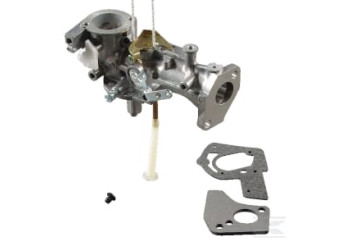 Briggs & Stratton 495459 Carburateur