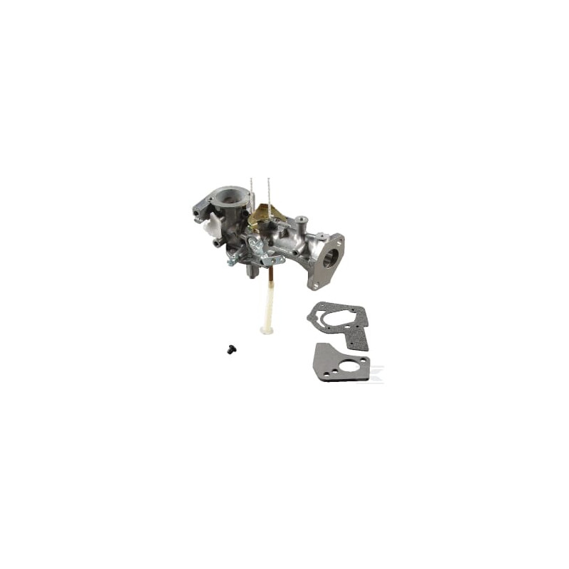 Briggs & Stratton 495459 Carburateur