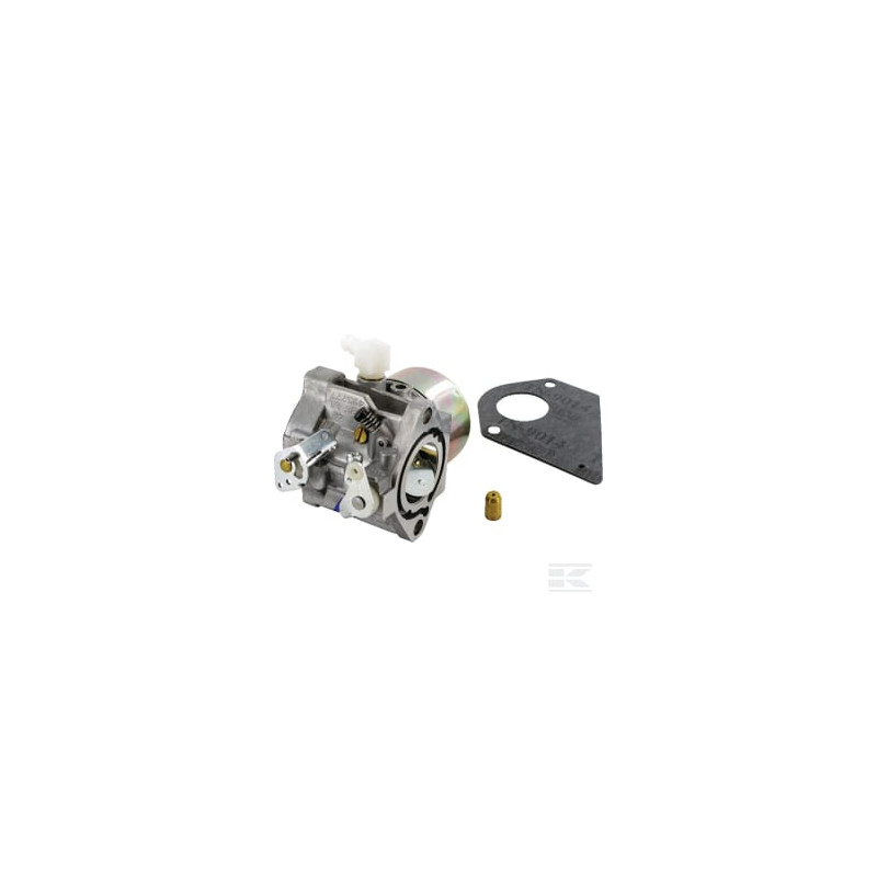 Briggs & Stratton 495778 Carburateur