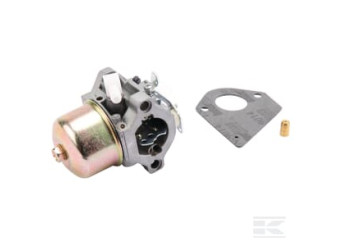 Briggs & Stratton 495782 Carburateur