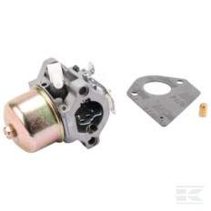 Briggs & Stratton 495782 Carburateur