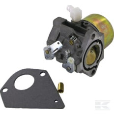 Briggs & Stratton 495784 Carburateur