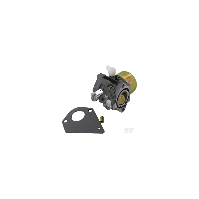 Briggs & Stratton 495784 Carburateur