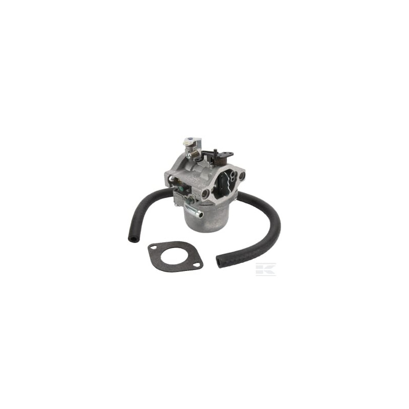Briggs & Stratton 590399 Carburateur