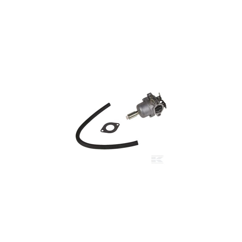 Briggs & Stratton 590400 Carburateur