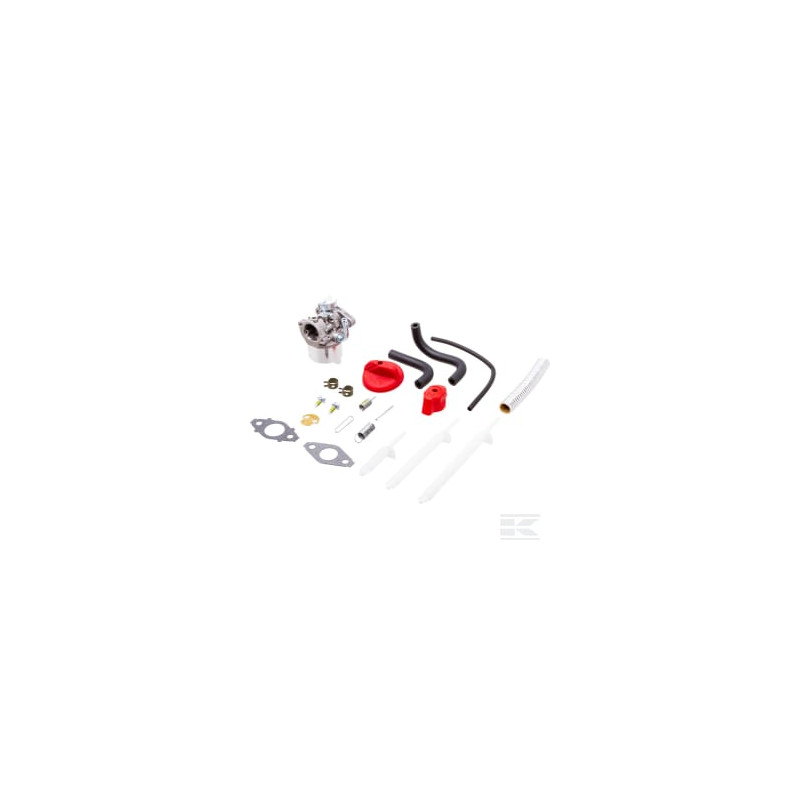 Briggs & Stratton 594014 Carburateur