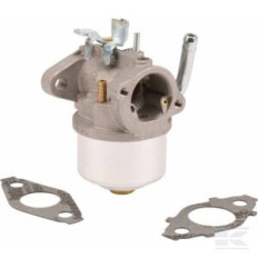 Briggs & Stratton 594015WM Carburateur