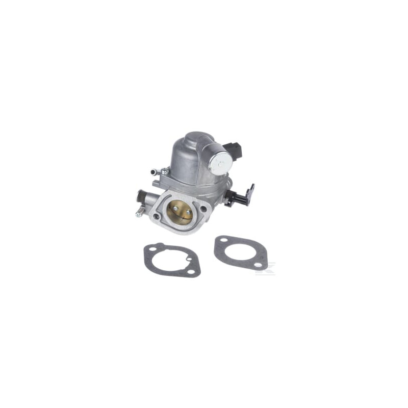 Briggs & Stratton 594207 Carburateur