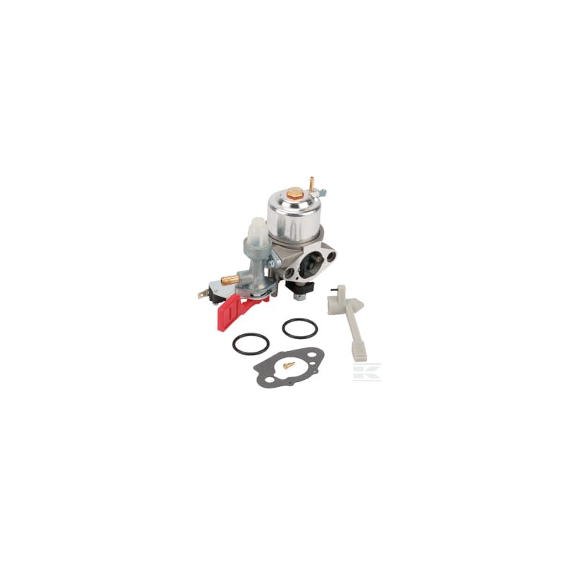 Briggs & Stratton 595318 Carburateur