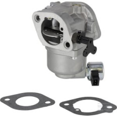 Briggs & Stratton 596033 Carburateur