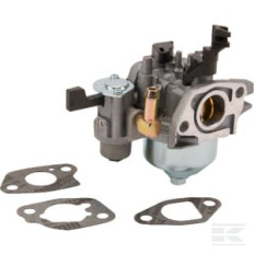 Briggs & Stratton 596079 Carburateur