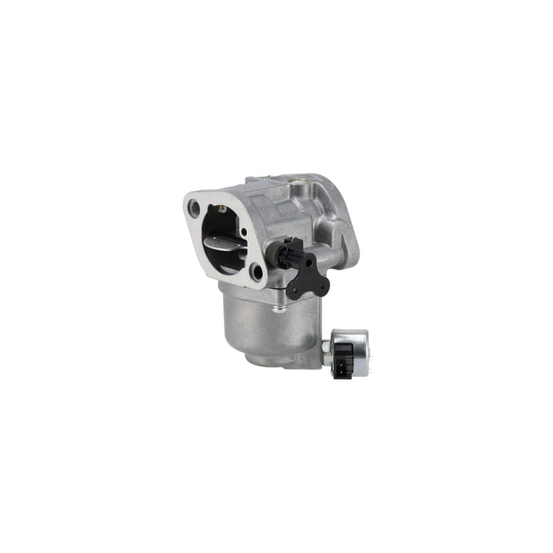 Briggs & Stratton 596102 Carburateur