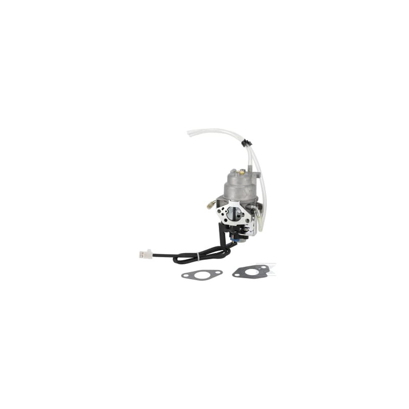 Briggs & Stratton 596108 Carburateur