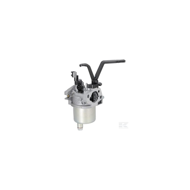 Briggs & Stratton 704930 Carburateur
