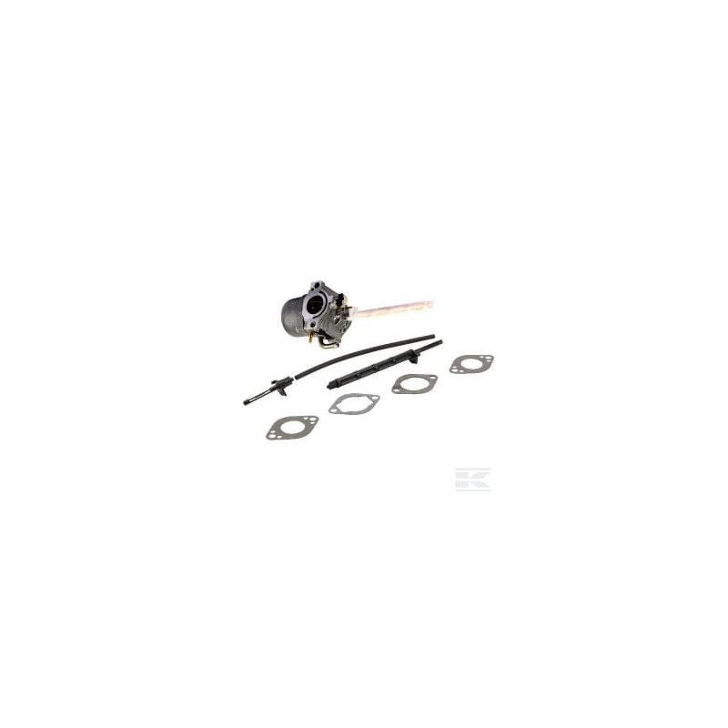 Briggs & Stratton 796122 Carburateur