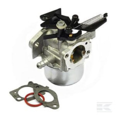 Briggs & Stratton 796608 Carburateur