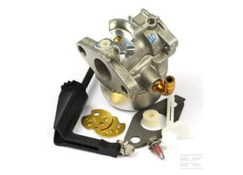 Briggs & Stratton 798653 Carburateur