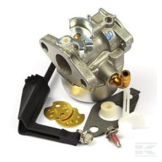 Briggs & Stratton 798653 Carburateur